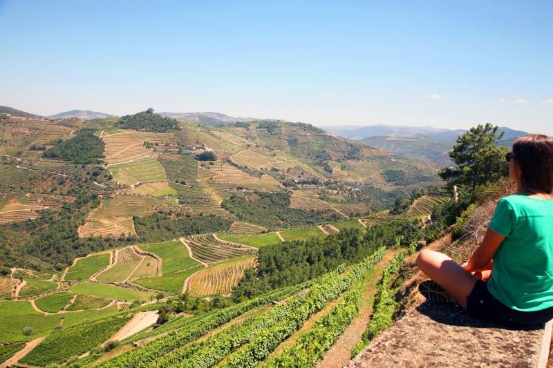 tourhub | Authentic Trails | Douro Wine Region Wine and Food Lovers 