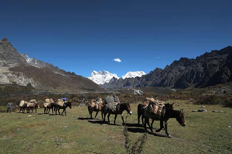 tourhub | Bhutan Acorn Tours & Travel | Bhutan Majestic Jomolhari Basecamp Loop Trek | 71355P8