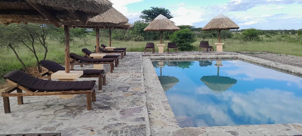 tourhub | Beach and Safari Holidays | Tanzania's Classic Safari Adventure: Icons of the Wild 