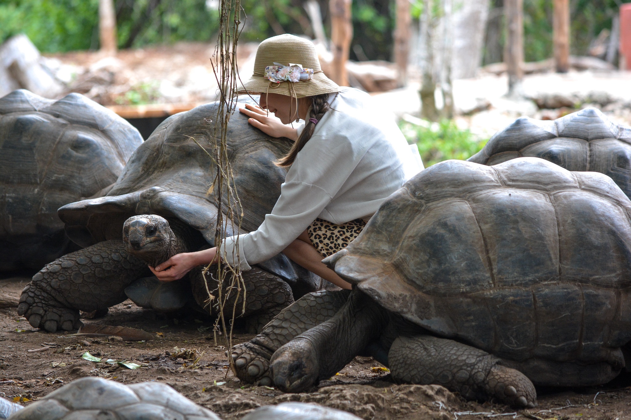 tourhub | Beach and Safari Holidays | Family Package Zanzibar & Selous / Nyerere NP 