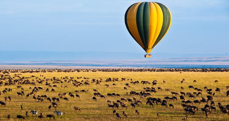 tourhub | Africa Endless Safaris and Holiday | Annual Great Migration Safari 