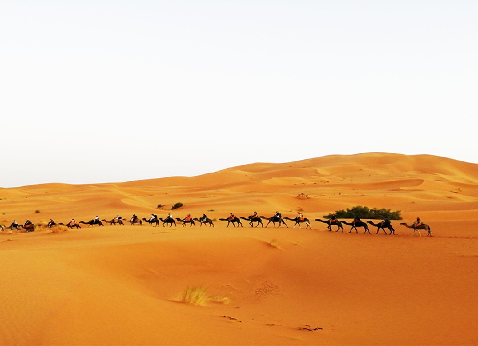 tourhub | Escorted Morocco Tours | 3 Days Morocco Sahara Desert Tour from Marrakech 