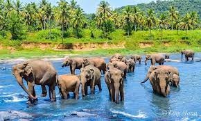 tourhub | Explore Vacations | Exclusive Honeymoon Days in Sri Lanka 