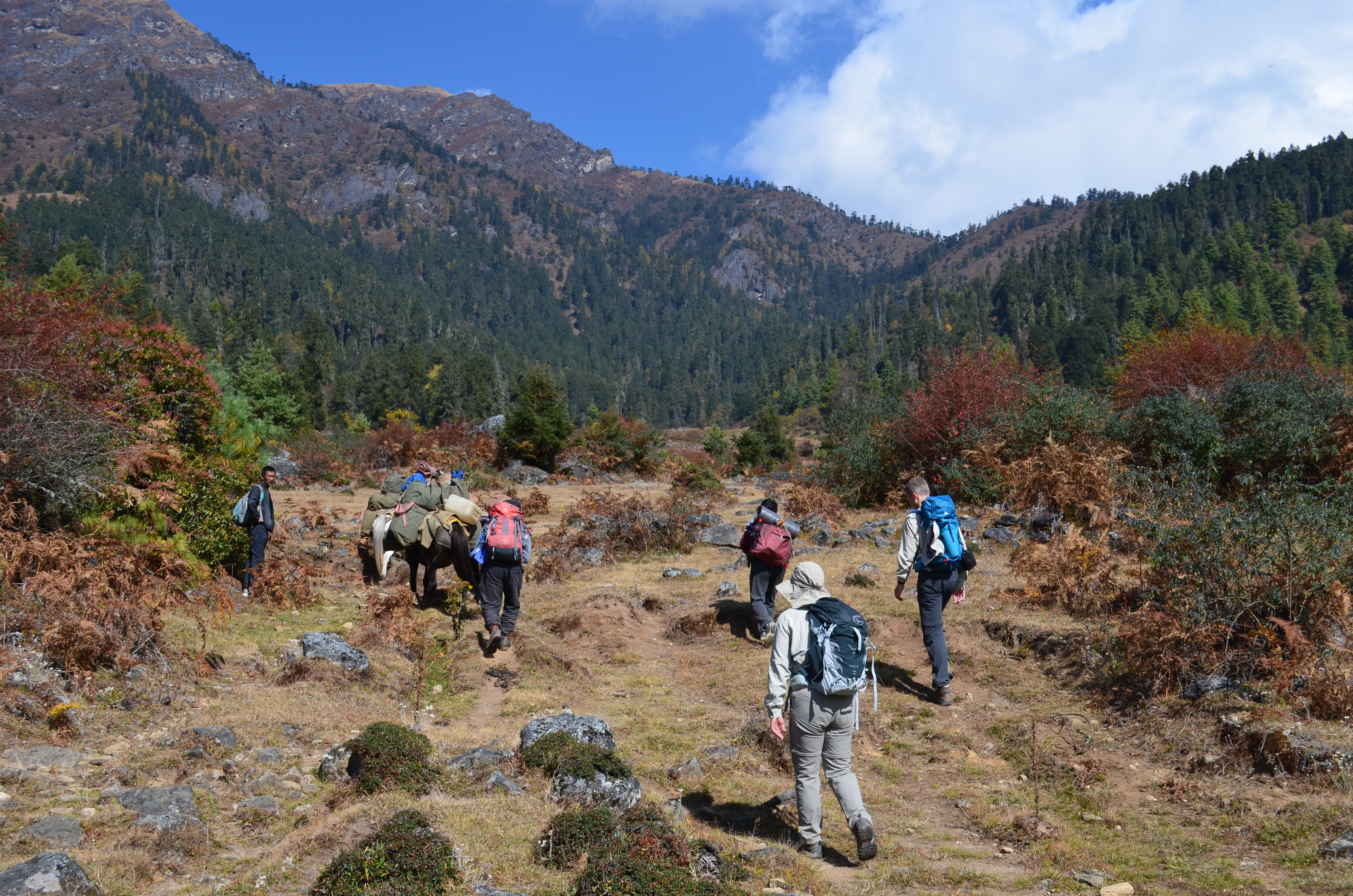 tourhub | World Tour Plan | Bhutan Sagala Trek 