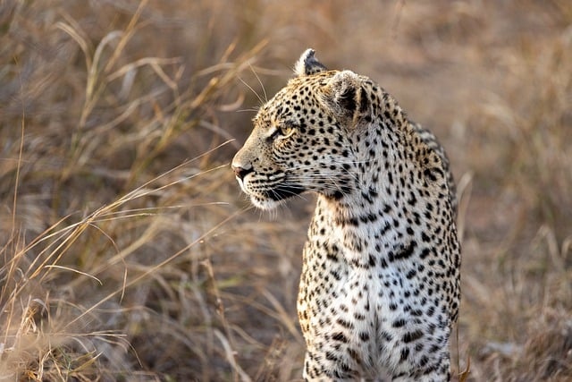 tourhub | Widerange African Safaris | Best 3 days Sharing safari package in Tanzania 