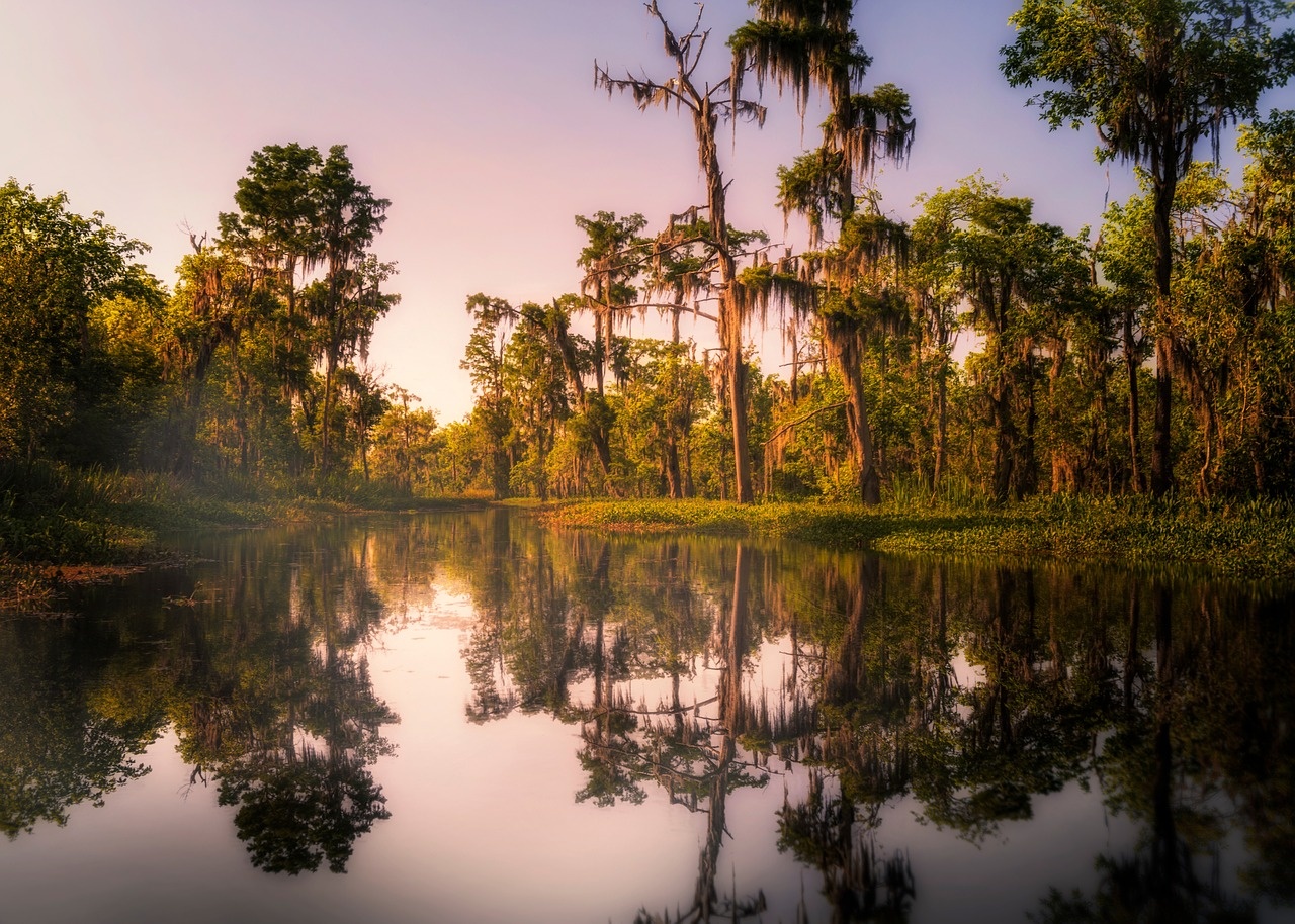 tourhub | Tours of Distinction | New Orleans & Louisiana Cajun Country 