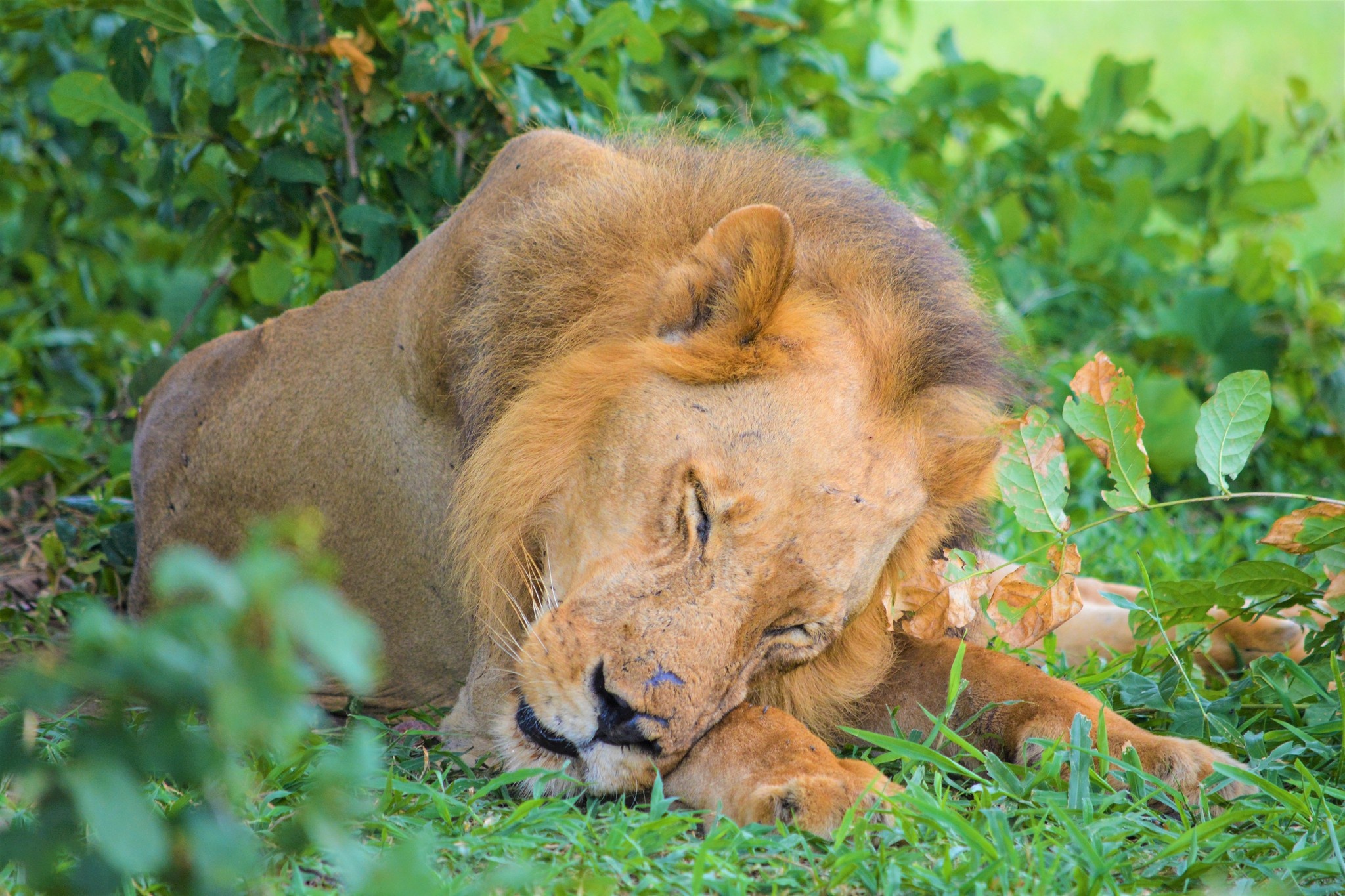 tourhub | Beach and Safari Holidays | Jewels of Northern Tanzania: Tarangire, Manyara, and Lake Natron 