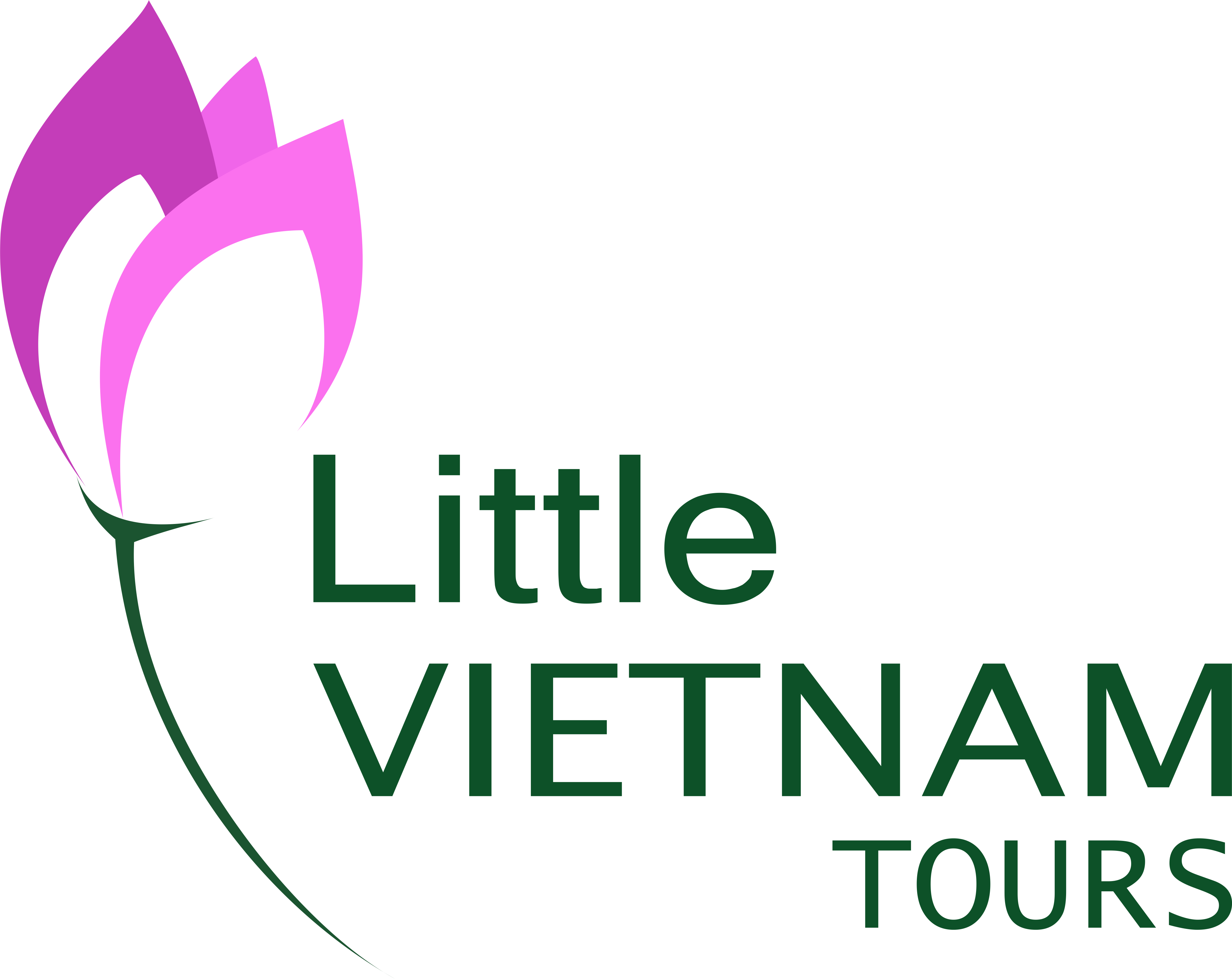 Little Vietnam Tours logo