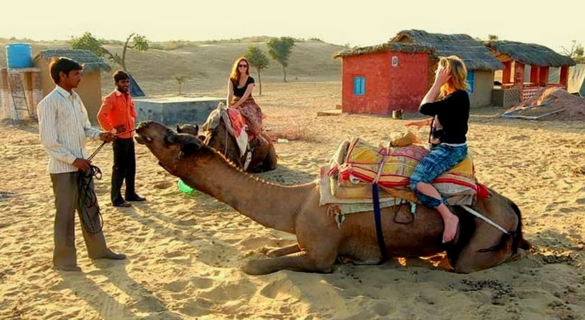 tourhub | Holidays At | Rajasthan Fort and Palace Tour 