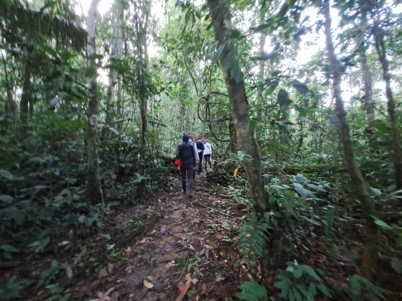 tourhub | Ecuador Galapagos Travels | 12 Days Ecuador’s Greatest Hits: A Bucket-List Adventure 