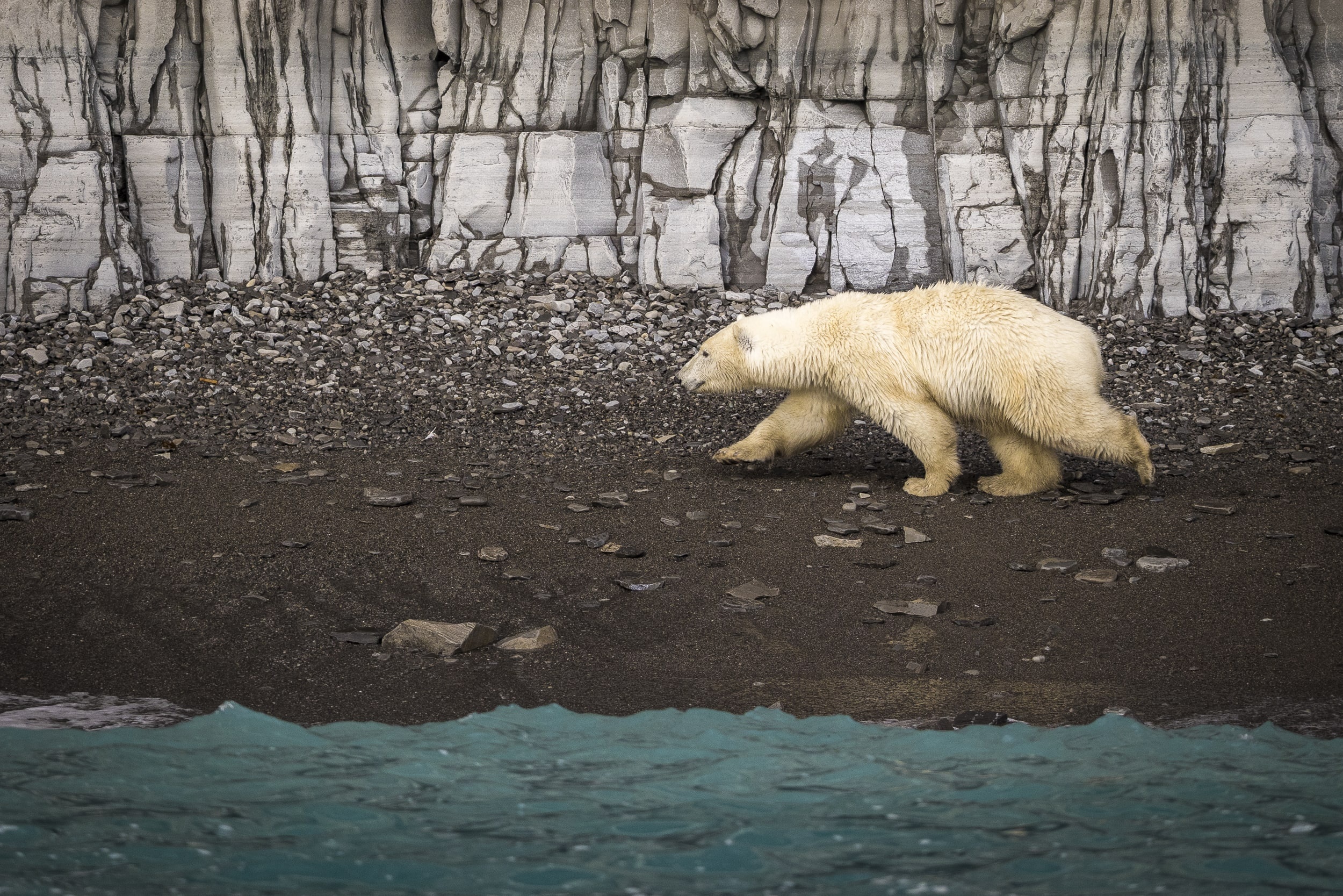 tourhub | Aurora Expeditions | Out of the Northwest Passage (Eastbound) 