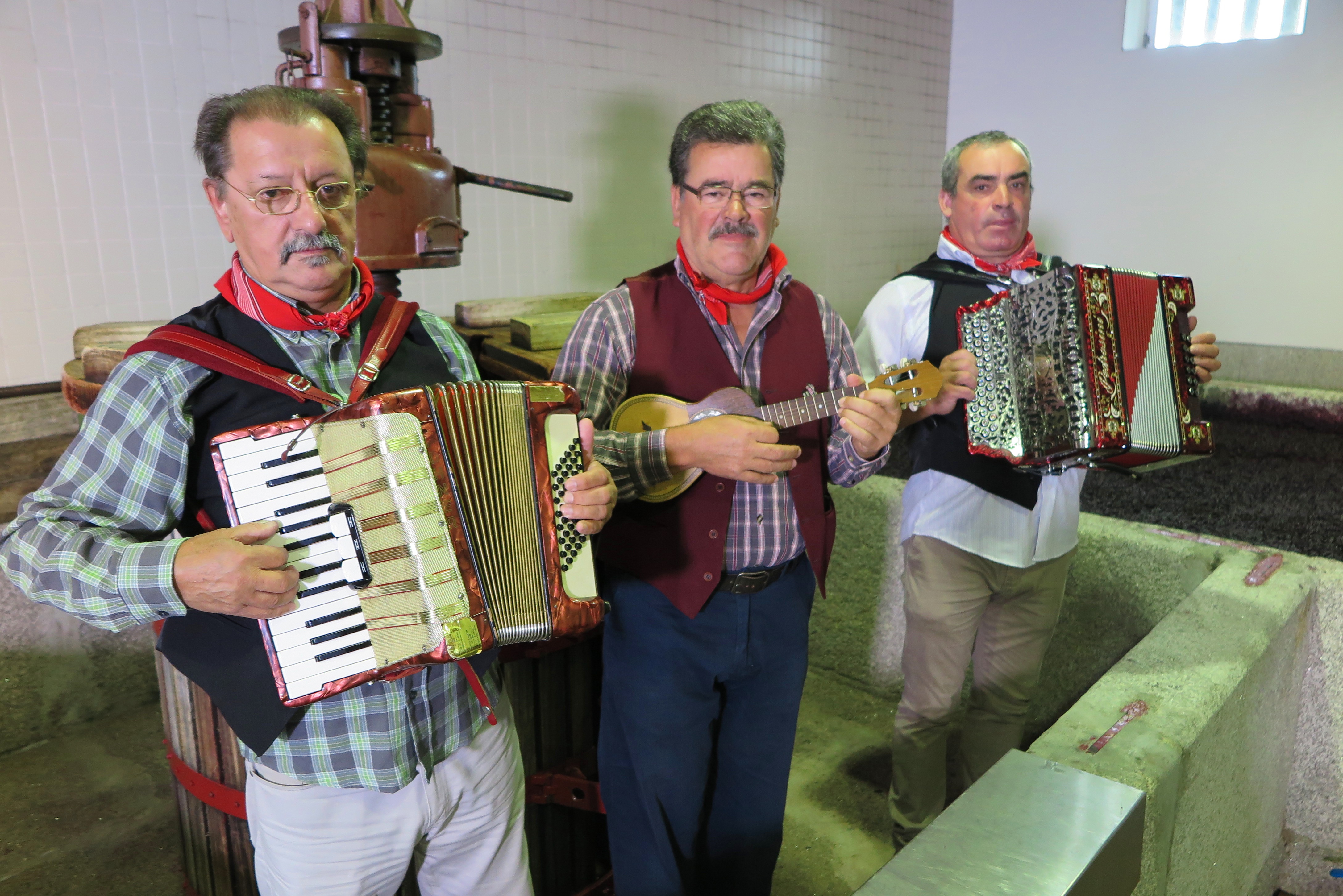 tourhub | Authentic Trails | Douro Valley self-guided - Wine, nature and traditions in a World Heritage region 