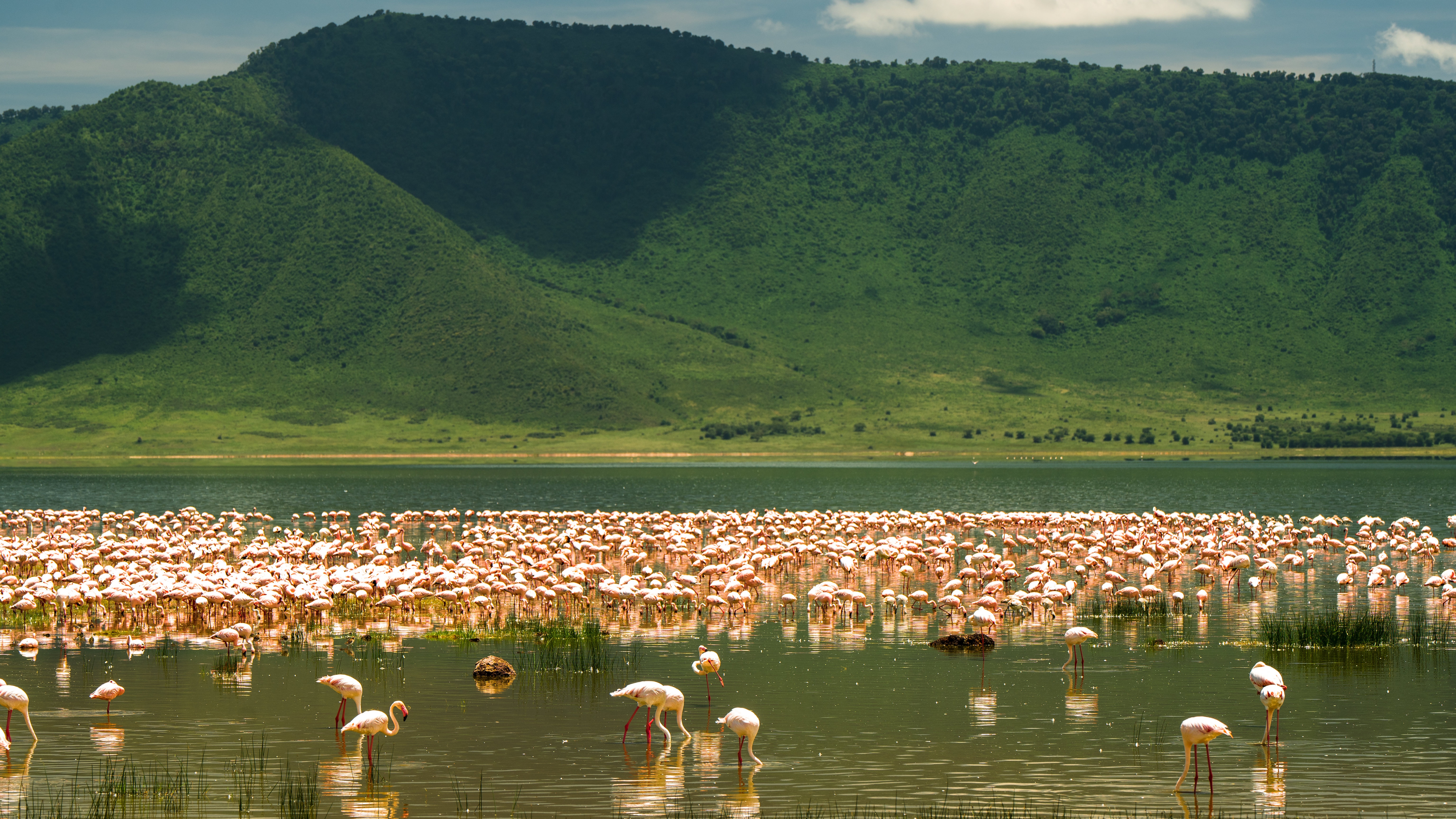 tourhub | Beach and Safari Holidays | From Zanzibar: Ngorongoro Crater 