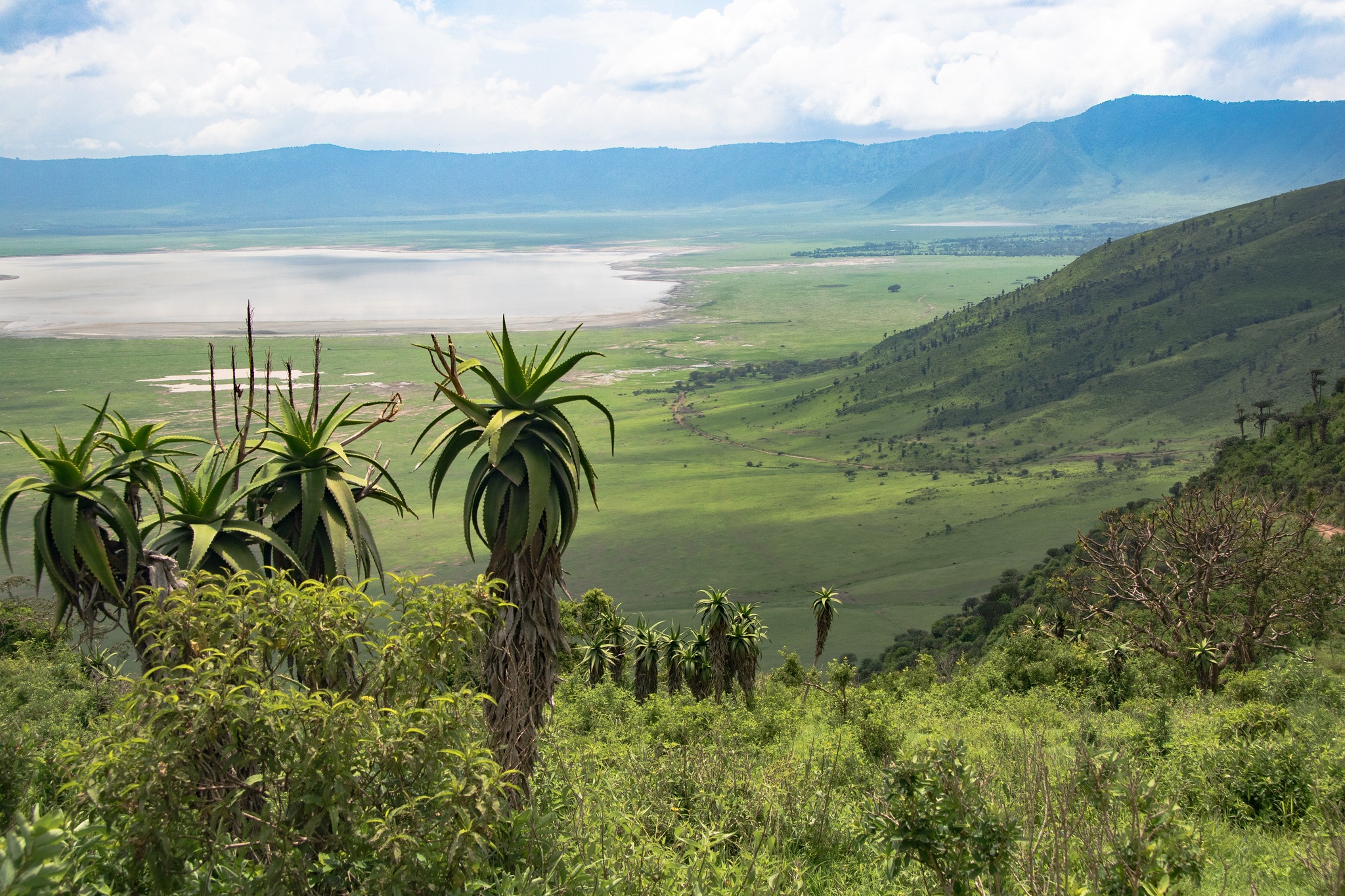 tourhub | Beach and Safari Holidays | The Ultimate Serengeti Experience 