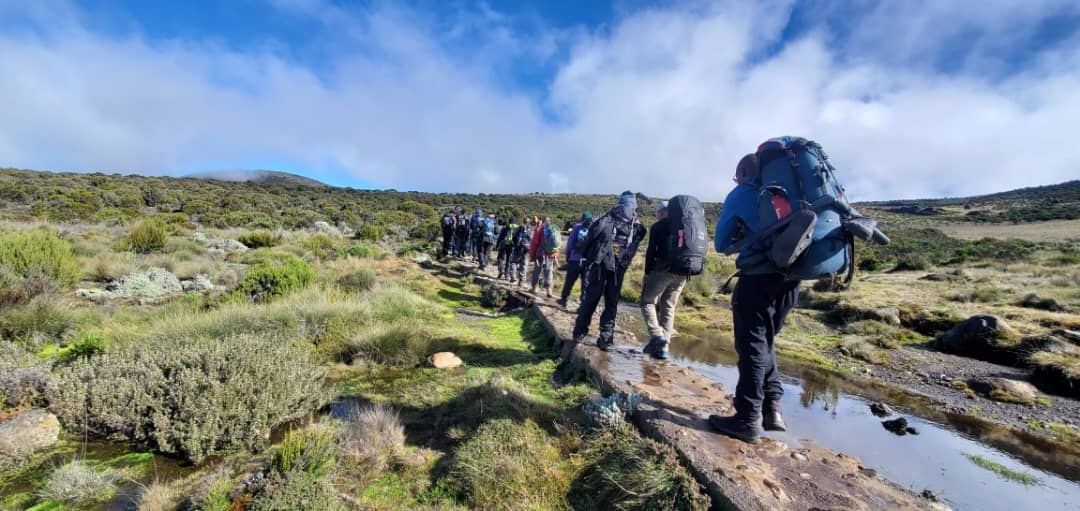 tourhub | Zara Tanzania Adventures | Kilimanjaro Marangu Route 5 Days 