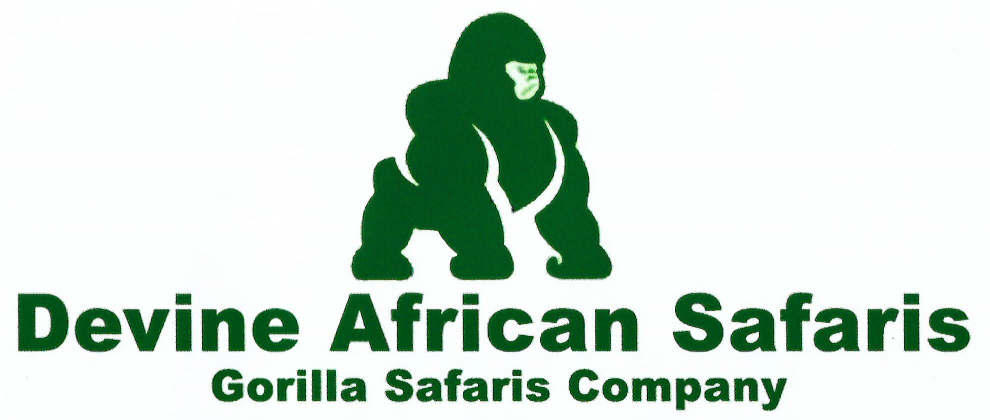 Devine African Safaris logo