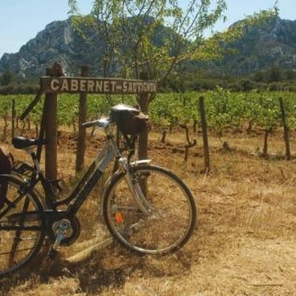 tourhub | UTracks | Highlights of Provence by Bike 