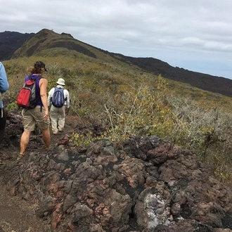 tourhub | Rebecca Adventure Travel | 6-Day Galapagos Island Hopping: Kayaking, Mountain Biking and Volcano Hike 