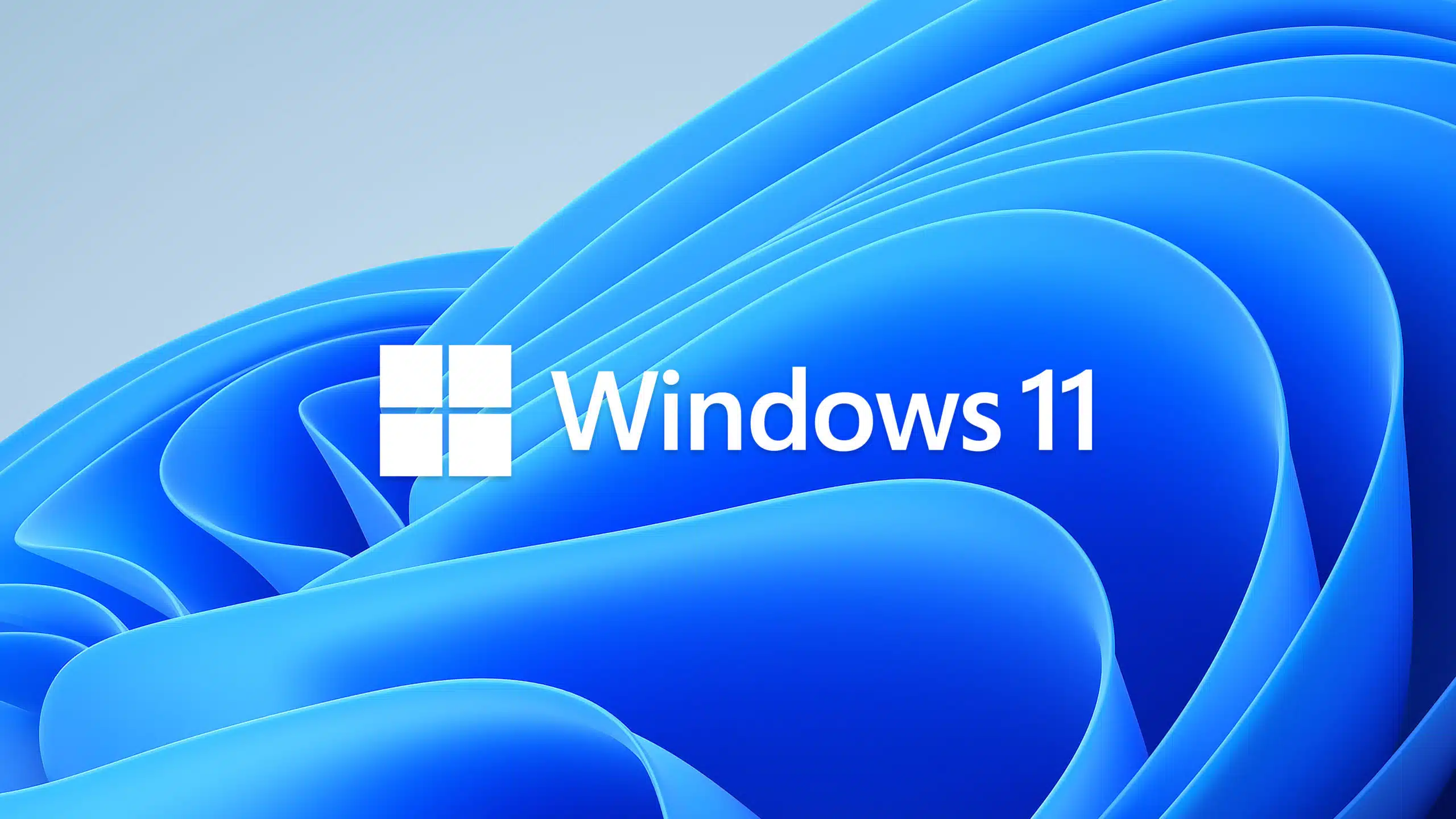 Représentation de la formation : MICROSOFT WINDOWS 11 - LES BASES