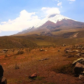 tourhub | BM Tours | Ecuadorian Adventure Quito - Galápagos Islands 8 Days 7 Nights 