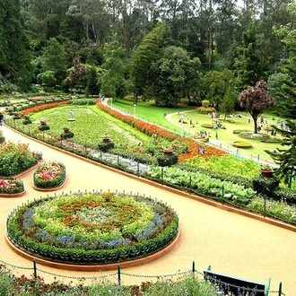 tourhub | Agora Voyages | Serene Nilgiris: Ooty and Coonoor Discovery Tour 