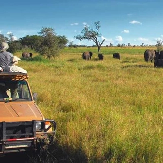 tourhub | On The Go Tours | Wild About Tanzania - 10 days 