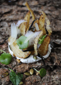 Roast Jerusalem artichokes, local goats' curd, forest findings, rosemary, nuts and seeds