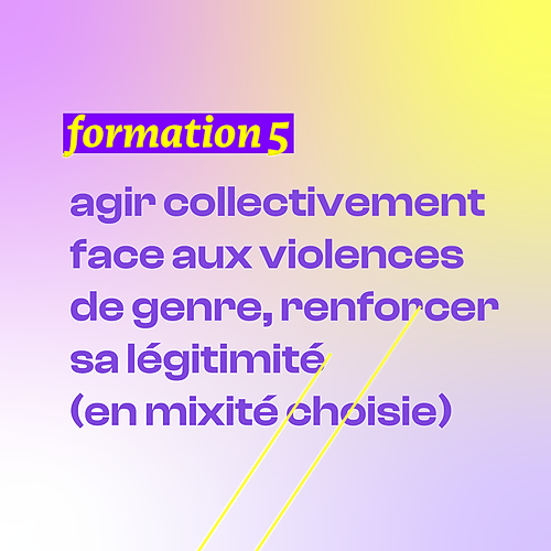 Représentation de la formation : FORMATION 5 - AGIR COLLECTIVEMENT FACE AUX VIOLENCES DE GENRE