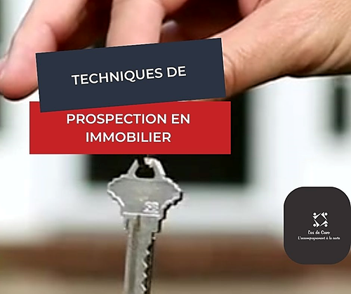 Représentation de la formation : TECHNIQUE DE PROSPECTION DANS LE SECTEUR IMMOBILIER 