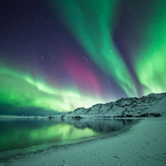 tourhub | Intrepid Travel | Iceland's Classic Northern Lights 