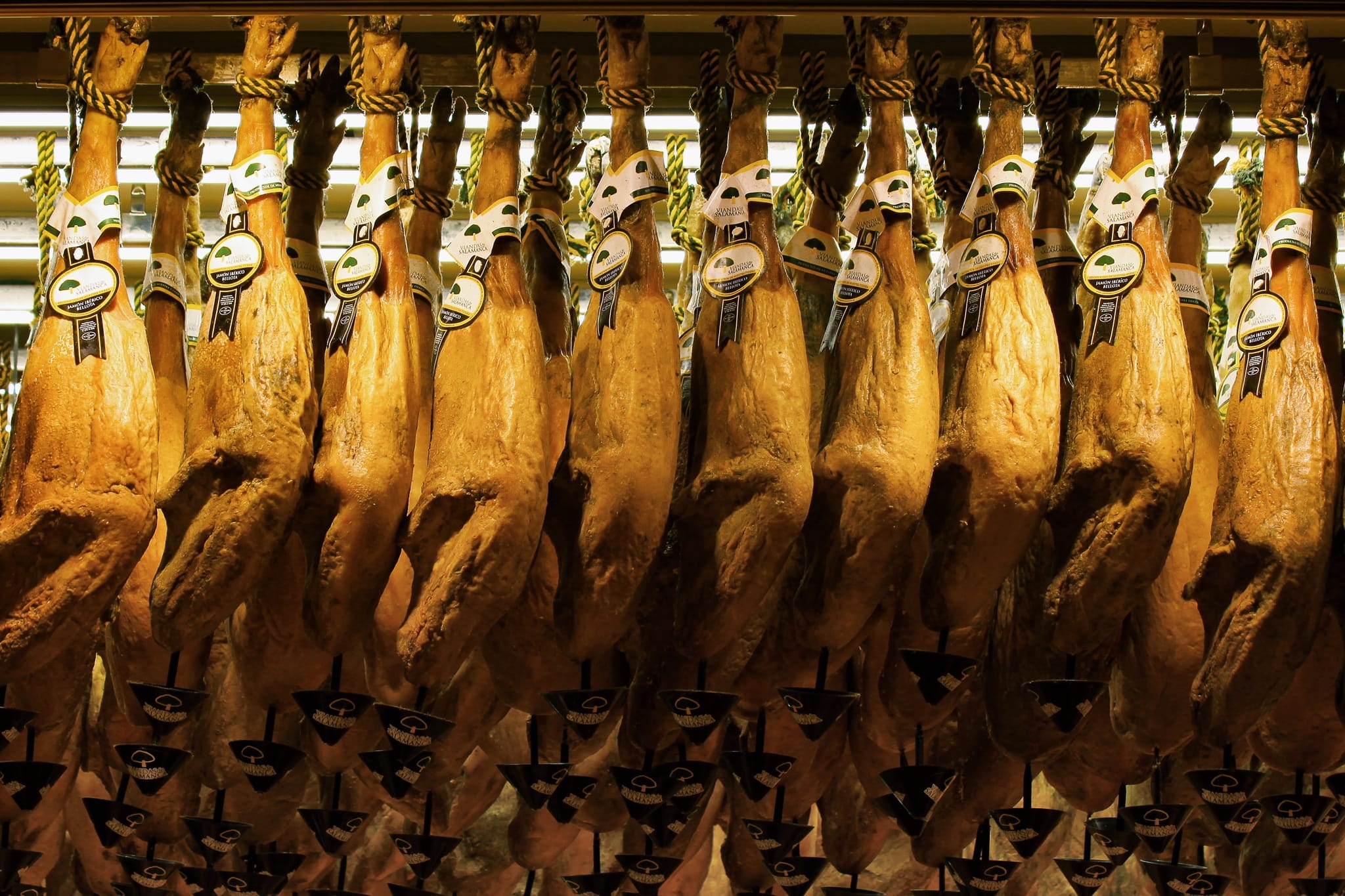 Trevélez and Visit to the Drying House of Ham with Lunch from Granada in Semi-Private - Accommodations in Granada