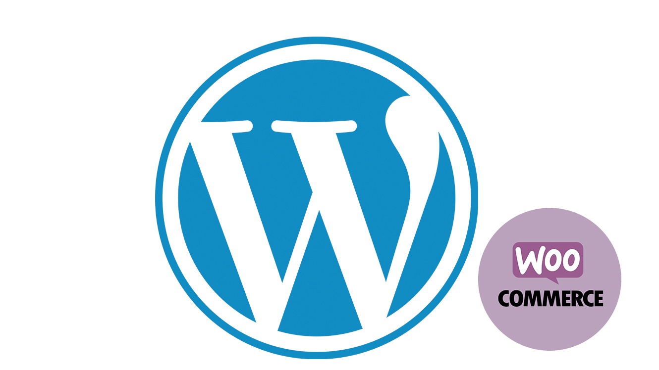 Représentation de la formation : WordPress : création et administration de sites Web e-commerce + Certification 