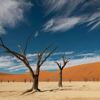 tourhub | Intrepid Travel | Premium Namibia 