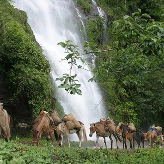 tourhub | Bhutan Acorn Tours & Travel | Bhutan Scenic Jomolhari Laya Gasa Trek 