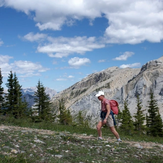 tourhub | Exodus Adventure Travels | Canadian Rockies: Heli-Hike & Wilderness 