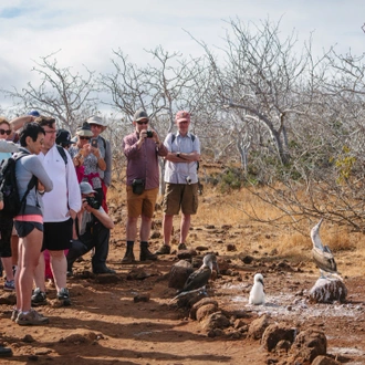 tourhub | Intrepid Travel | Galapagos Explorer: Central Islands (Grand Queen Beatriz) 