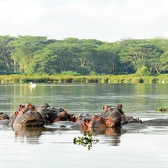 tourhub | Gracepatt Ecotours Kenya | 2 Day Tour Lake Nakuru, Hell' s Gate & Lake Naivasha From Nairobi 