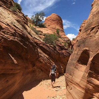 tourhub | Intrepid Travel | Hiking and Backpacking Utah's Coyote Gulch		 