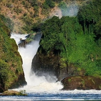 tourhub | ECOVIC TOURS & TRAVEL UGANDA | 3-Day White Rhinos & Wildlife of Murchison Falls Safari 