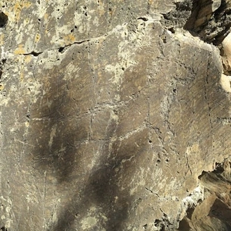 tourhub | Travel Editions | Pre-Historic Rock Art in Portugal 