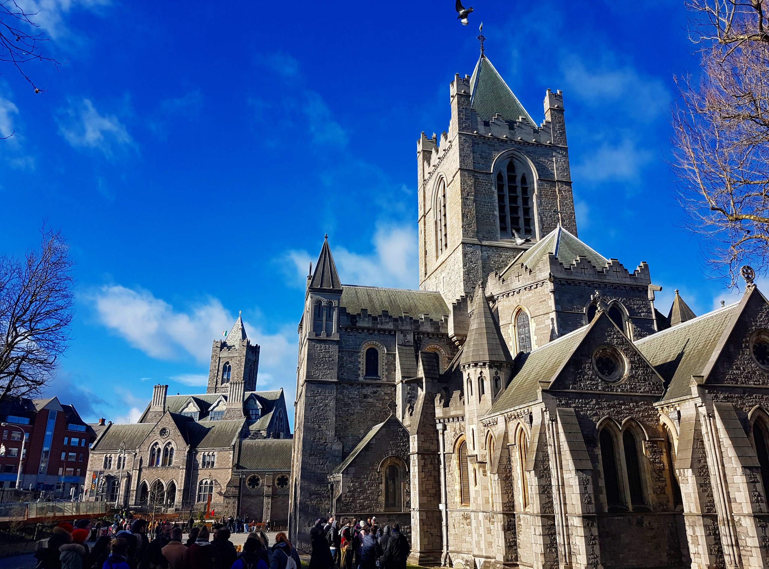 The Fantastic Walking Tour of Dublin in Private - Alloggi in Dublino