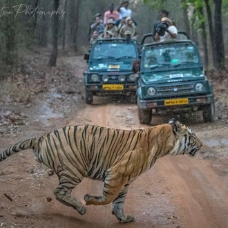 tourhub | Exodus Adventure Travels | India Photography Safari with Paul Goldstein 