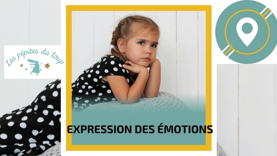 Représentation de la formation : Expression des émotions (Animation d'un atelier)