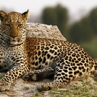 tourhub | On The Go Tours | Kruger, Falls, Delta & Cape (Accommodated)  - 25 days 