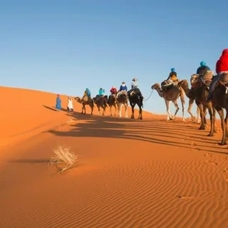 tourhub | Morocco Global Adventures | From Marrakech: 4 day tour to Chefchaouen via Merzouga desert & Fes 