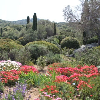 tourhub | Brightwater Holidays | History and Horticulture in Corsica 9311 