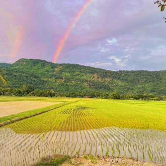 tourhub | SpiceRoads Cycling | Road Escape: Khao Yai  