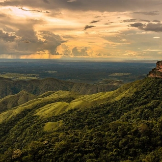 tourhub | Etours Brazil | Northern Pantanal round trip: Chapada dos Guimarães - Nobres - Pantanal - Jaguar safari 