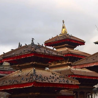 tourhub | Liberty Holidays | Cultural, wildlife and adventurous Nepal: Kathmandu, Pokhara and Chitwan Tour 