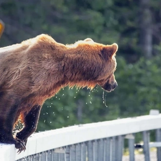 tourhub | Explore! | Outdoor Alaska 